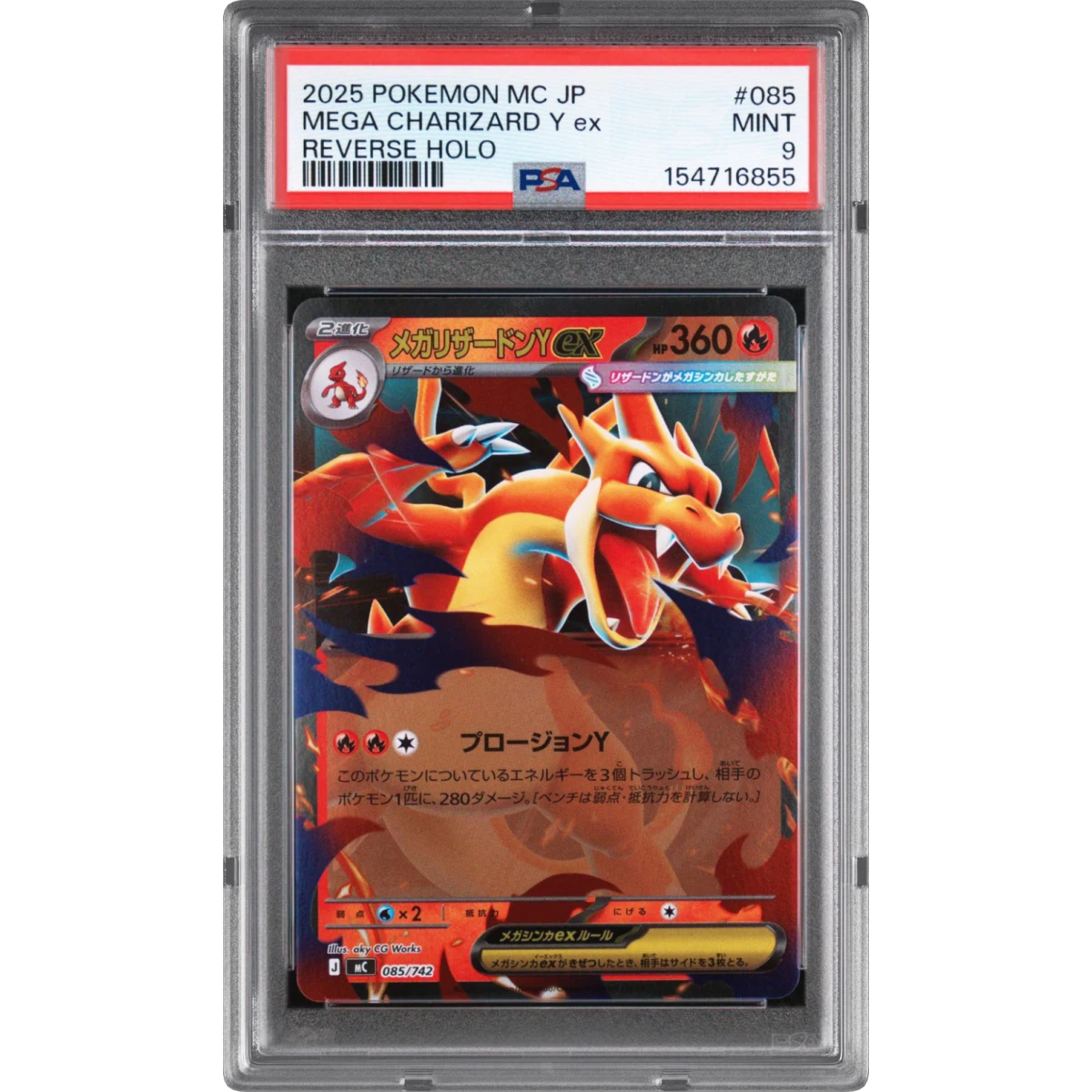 Pokémon & Sports Card Marketplace | Courtyard.io